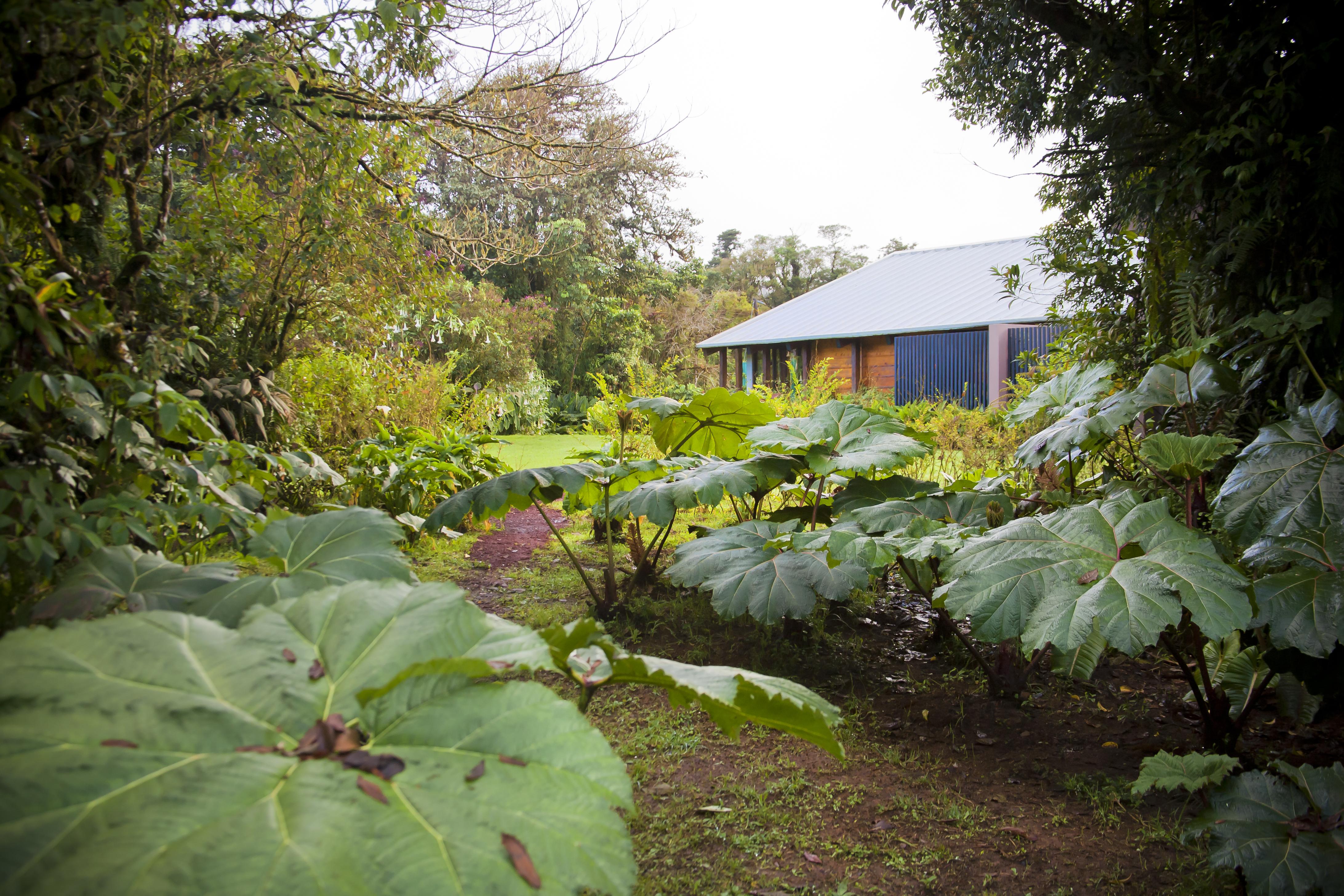 Poas Volcano Lodge Vara Blanca  Eksteriør bilde